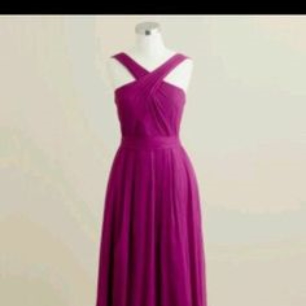 Claudia Halter J Crew Silk Chiffon dress